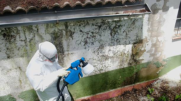 Top rated local Mold Remediation specialists in North Bend, PA